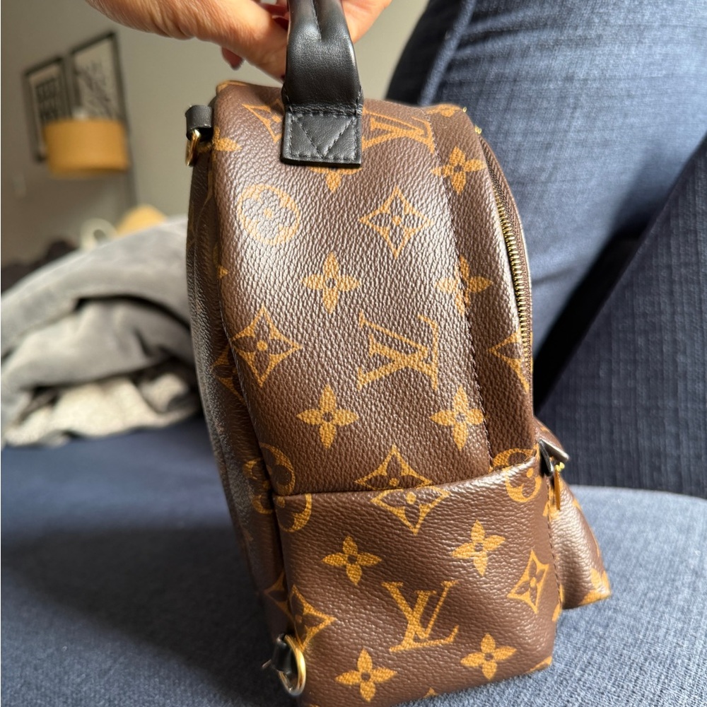 Louis Vuitton Monogram Mini Palm Spring Backpack - Picture 3 of 16